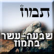 תמוז