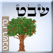 שבט